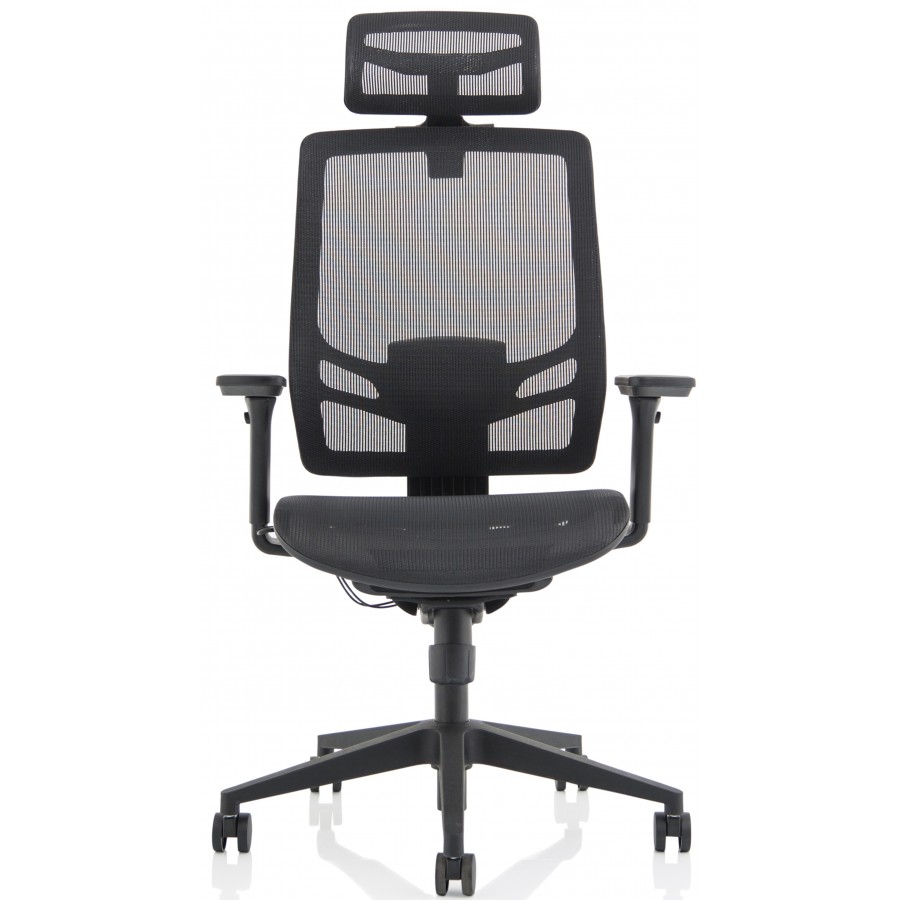 Ergo Twist Ergonomic Mesh Office Chair